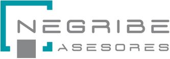 Negribe Asesores